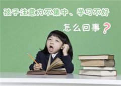 乖巧的孩子因多动症而大闹脑学校