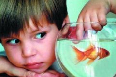 多动症儿童的特征