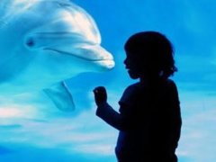 自闭症用什么经颅磁刺激仪