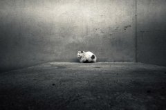 宝宝自闭症有哪些临床表现?