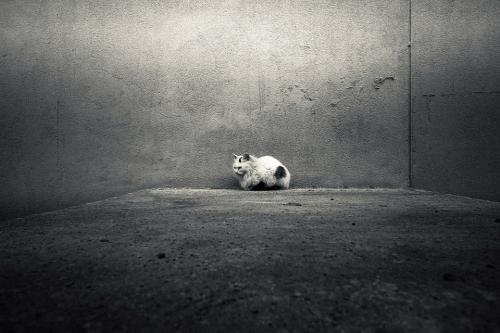 经颅磁是治什么的_小孩疑似自闭症是不是自闭症